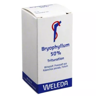 BRYOPHYLLUM 50 % oralt pulver, 20 g
