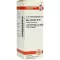 APIS MELLIFICA D 30 Fortynning, 20 ml