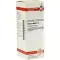 AVENA SATIVA D 4 fortynning, 20 ml