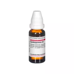 DHU Cardiospermum D 1 Fortynning, 20 ml