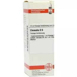 CLEMATIS D 6 Fortynning, 20 ml