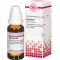 CLEMATIS D 6 Fortynning, 20 ml