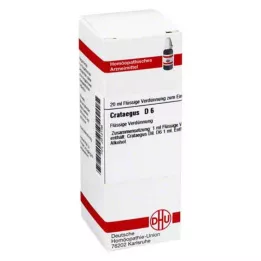 CRATAEGUS D 6 Fortynning, 20 ml