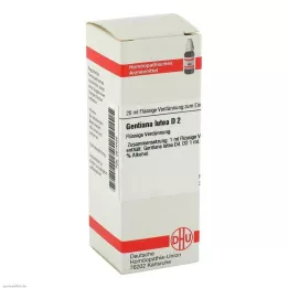 DHU Gentiana lutea D 2 Fortynning, 20 ml