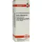 SALVIA OFFICINALIS D 4 fortynning, 20 ml