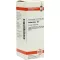 VERBASCUM D 2 Fortynning, 20 ml