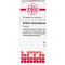 ACIDUM SARCOLACTICUM D 6 tabletter, 80 stk