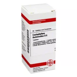 CAULOPHYLLUM THALICTROIDES D 6 tabletter, 80 stk