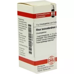 RHUS TOXICODENDRON D 10 kuler, 10 g