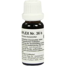 REGENAPLEX Nr. 36 b dråper, 15 ml