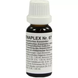 REGENAPLEX Nr. 67 dråper, 15 ml