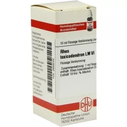 RHUS TOXICODENDRON LM VI Fortynning, 10 ml