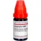 SYMPHYTUM LM VI Fortynning, 10 ml