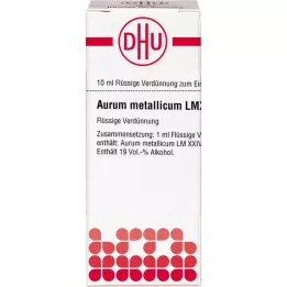 AURUM METALLICUM LM XXIV Fortynning, 10 ml