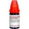 BERBERIS LM XXX Fortynning, 10 ml