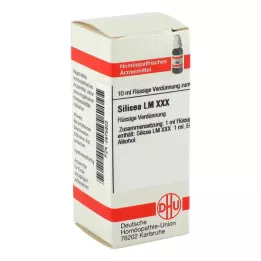 Lm Silicea Xxx (10 ml)