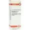 COLOCYNTHIS D 12 Fortynning, 20 ml