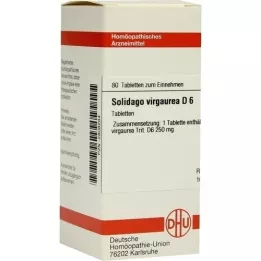 SOLIDAGO VIRGAUREA D 6 tabletter, 80 stk