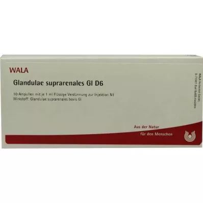 GLANDULAE SUPRARENALES GL D 6 ampuller, 10X1 ml GLANDULAE SUPRARENALES GL D 6 ampuller, 10X1 ml