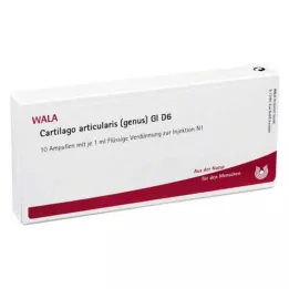 CARTILAGO articularis-slekten GL D 6 ampuller, 10X1 ml
