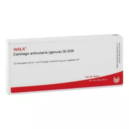 CARTILAGO articularis-slekten GL D 30 ampuller, 10 x 1 ml