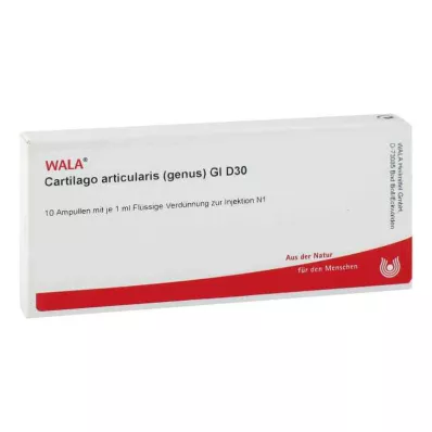 CARTILAGO articularis-slekten GL D 30 ampuller, 10 x 1 ml CARTILAGO articularis-slekten GL D 30 ampuller, 10 x 1 ml