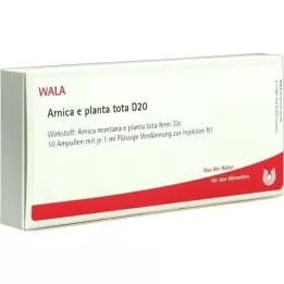 ARNICA E Planta tota D 20 Ampuller, 10X1 ml