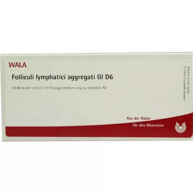 FOLLICULI LYMPHATICI aggregati GL D 6 ampuller, 10X1 ml FOLLICULI LYMPHATICI aggregati GL D 6 ampuller, 10X1 ml