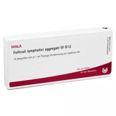 FOLLICULI LYMPHATICI aggregati GL D 12 ampuller, 10X1 ml FOLLICULI LYMPHATICI aggregati GL D 12 ampuller, 10X1 ml
