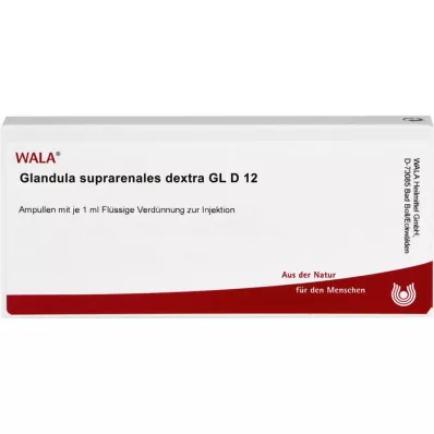 GLANDULA SUPRARENALES dextra GL D 12 ampuller, 10X1 ml