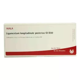 LIGAMENTUM LONGITUDINALE posterius GL D 30 ampere, 10X1 ml
