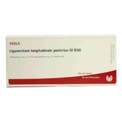 LIGAMENTUM LONGITUDINALE posterius GL D 30 ampere, 10X1 ml