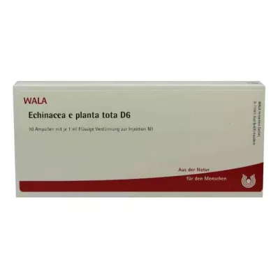 ECHINACEA E planta tota D 6 ampuller, 10X1 ml ECHINACEA E planta tota D 6 ampuller, 10X1 ml