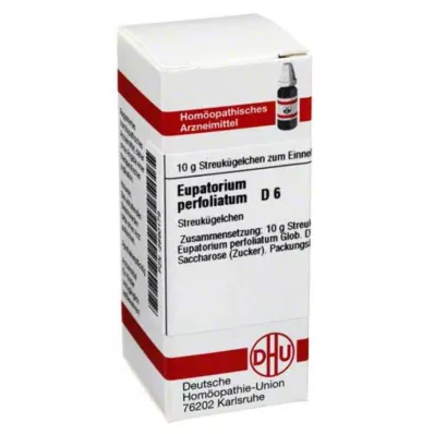 EUPATORIUM PERFOLIATUM D 6 globuli, 10 g EUPATORIUM PERFOLIATUM D 6 globuli, 10 g
