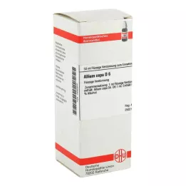 Allium Cepa D6 fortynning (50 ml)