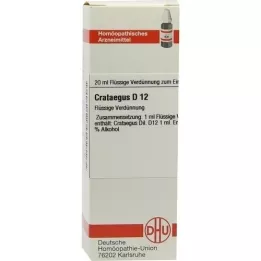 CRATAEGUS D 12 Fortynning, 20 ml