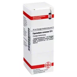 EQUISETUM ARVENSE D 6 Fortynning, 20 ml