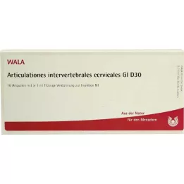 ARTICULATIONES intervertebral.cerv.GL D 30 ampere, 10X1 ml