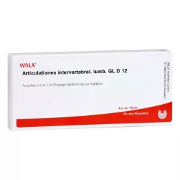 ARTICULATIONES intervertebral.lumb.GL D 12 ampere, 10X1 ml
