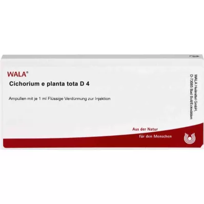CICHORIUM E planta tota D 4 ampuller, 10X1 ml