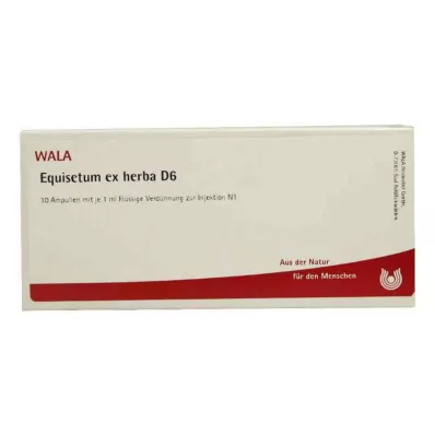 EQUISETUM EX Herba D 6 ampuller, 10X1 ml EQUISETUM EX Herba D 6 ampuller, 10X1 ml