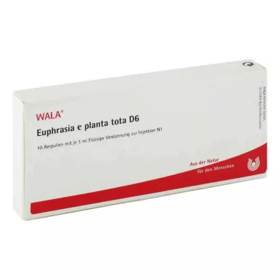 EUPHRASIA E planta tota D 6 ampuller, 10X1 ml EUPHRASIA E planta tota D 6 ampuller, 10X1 ml