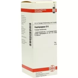 HAPLOPAPPUS D 6 Fortynning, 50 ml