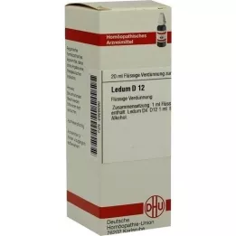 LEDUM D 12 Fortynning, 20 ml