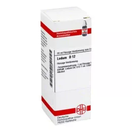 LEDUM D 12 Fortynning, 20 ml