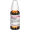 MAGNESIUM CARBONICUM D 6 Fortynning, 20 ml