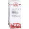 MAGNESIUM CARBONICUM D 6 Fortynning, 50 ml