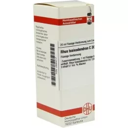 RHUS TOXICODENDRON C 30-fortynning, 20 ml