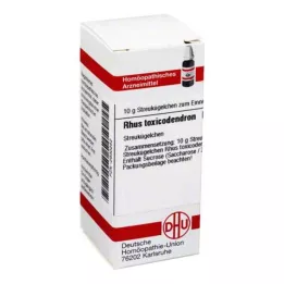 RHUS TOXICODENDRON D 200 globuler, 10 g