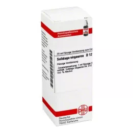 SOLIDAGO VIRGAUREA D 12 Fortynning, 20 ml